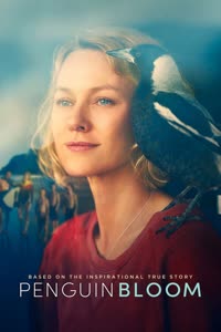 پوستر پنگون بلوم