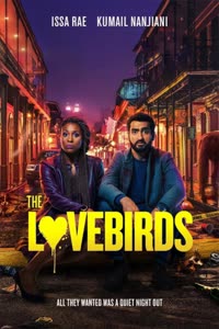 پوستر مرغ عشق‌ها