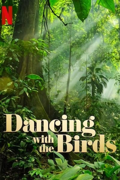 پوستر رقص با پرندگان
