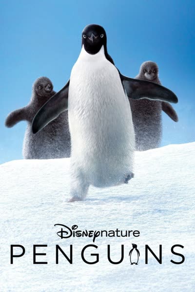 پوستر پنگوئن ها