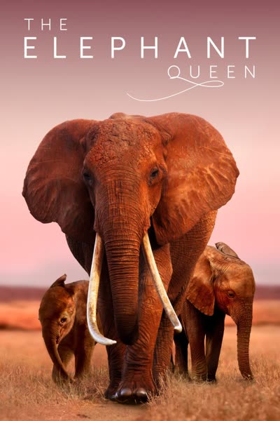 پوستر ملکه فیل