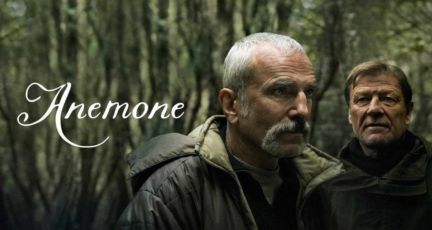 عکس شقایق دریایی