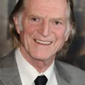 David Bridle