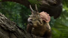 عکس قسمت 5 فصل 1 سریال سیاره ماقبل تاریخ