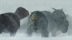 عکس قسمت 4 فصل 1 سریال سیاره ماقبل تاریخ