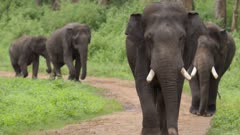 عکس قسمت 4 فصل 2 سریال سیاره ما