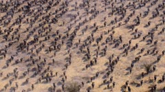 عکس قسمت 1 فصل 2 سریال سیاره ما