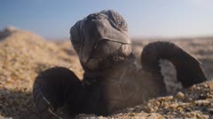 عکس قسمت 3 فصل 2 سریال سیاره ما