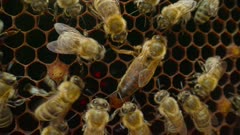 عکس قسمت 2 فصل 2 سریال سیاره ما