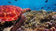 عکس قسمت 4 فصل 1 سریال سیاره ما