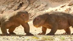 عکس قسمت 4 فصل 1 سریال حیات در سیاره ما