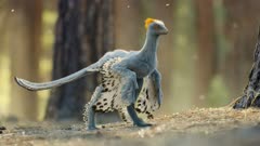 عکس قسمت 6 فصل 1 سریال حیات در سیاره ما