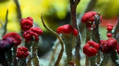 عکس قسمت 3 فصل 1 سریال حیات در سیاره ما