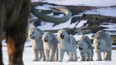 عکس قسمت 8 فصل 1 سریال حیات در سیاره ما