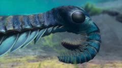 عکس قسمت 2 فصل 1 سریال حیات در سیاره ما