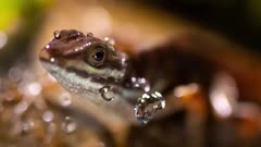 عکس قسمت 2 فصل 1 سریال سوپرنچرال