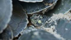 عکس قسمت 5 فصل 1 سریال سوپرنچرال