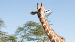 عکس قسمت 1 فصل 1 سریال سوپرنچرال