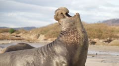 عکس قسمت 3 فصل 1 سریال سوپرنچرال