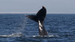 عکس قسمت 6 فصل 1 سریال سوپرنچرال