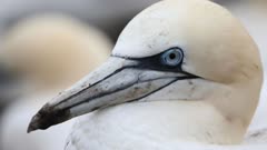 عکس قسمت 4 فصل 1 سریال سوپرنچرال