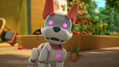 عکس قسمت 2 فصل 2 سریال تیم زنکو گو