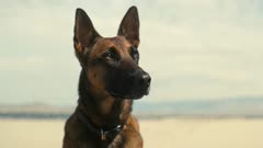 عکس قسمت 7 فصل 1 سریال سقوط